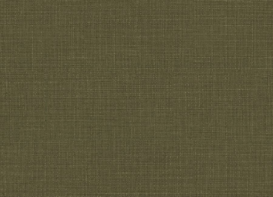 104724 Matka Moss